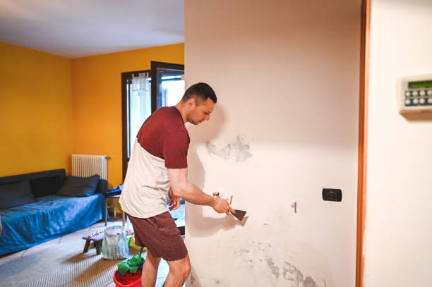 Best Certified Mold Removal  in Roy, UT